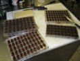 /album/galerie-de-photos-fabrication-des-chocolats/img-0005-jpg/